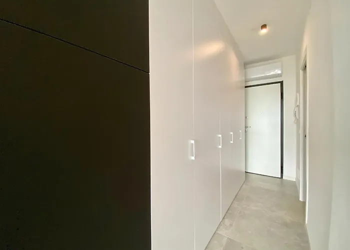 International Λινιάνο Σαμπιαντόρο